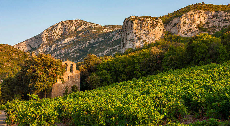 CPTS Hauts Cantons et Vignobles